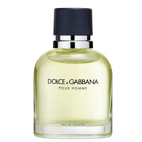 dolce gabbana mens 100ml eau de toilette|Dolce & Gabbana pour homme cologne.